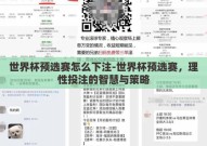 世界杯预选赛怎么下注-世界杯预选赛，理性投注的智慧与策略