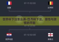世界杯下注怎么弄-世界杯下注，理性与激情的平衡