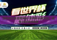 世界杯彩票竞猜网站-世界杯彩票竞猜，激情与智慧的碰撞