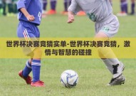 世界杯决赛竞猜实单-世界杯决赛竞猜，激情与智慧的碰撞