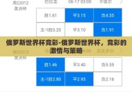 俄罗斯世界杯竞彩-俄罗斯世界杯，竞彩的激情与策略