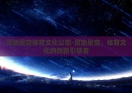 灵动星空体育文化公司-灵动星空，体育文化的创新引领者