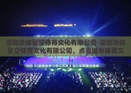 深圳华体星空体育文化有限公司-深圳华体星空体育文化有限公司，点亮城市体育文化的璀璨星光