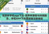 世界杯手机app下注-世界杯激情与科技融合，手机APP下的足球赌注新体验