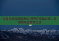 世界杯竞猜彩票中奖-世界杯竞猜彩票，梦想与幸运的交汇点