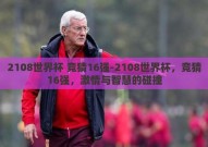 2108世界杯 竞猜16强-2108世界杯，竞猜16强，激情与智慧的碰撞