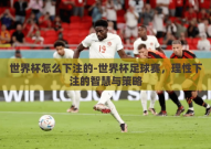 世界杯怎么下注的-世界杯足球赛，理性下注的智慧与策略