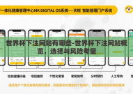 世界杯下注网站有哪些-世界杯下注网站概览，选择与风险考量