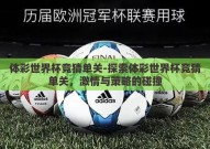 体彩世界杯竞猜单关-探索体彩世界杯竞猜单关，激情与策略的碰撞