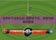 世界杯下注怎么玩-世界杯下注，激情与策略的碰撞