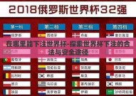 在哪里能下注世界杯-探索世界杯下注的合法与安全途径