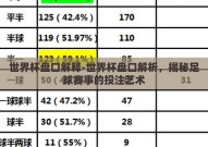 世界杯盘口解释-世界杯盘口解析，揭秘足球赛事的投注艺术