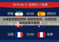 从哪里竞猜世界杯-竞猜世界杯，从何处启程的乐趣与智慧
