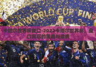 卡塔尔世界杯盘口-2022卡塔尔世界杯，盘口背后的策略与激情