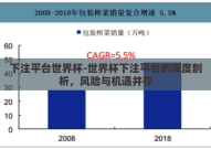 下注平台世界杯-世界杯下注平台的深度剖析，风险与机遇并存