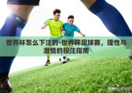 世界杯怎么下注的-世界杯足球赛，理性与激情的投注指南