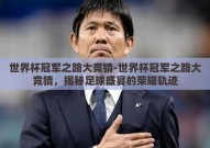 世界杯冠军之路大竞猜-世界杯冠军之路大竞猜，揭秘足球盛宴的荣耀轨迹