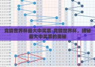 竞猜世界杯最大中奖票-竞猜世界杯，揭秘最大中奖票的奥秘