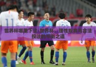 世界杯哪里下注-世界杯，理性观赛与合法投注的平衡之道