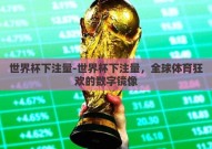 世界杯下注量-世界杯下注量，全球体育狂欢的数字镜像