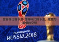 世界杯比赛下注-世界杯比赛下注，理性与激情的交织