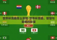 世界杯竞猜怎么赢钱-世界杯竞猜，智慧与策略的较量