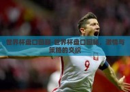 世界杯盘口回顾-世界杯盘口回顾，激情与策略的交织