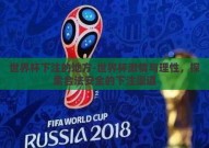 世界杯下注的地方-世界杯激情与理性，探索合法安全的下注渠道