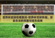 世界杯买球在哪里玩-世界杯足球热潮，安全合法的观赛与娱乐指南