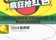 世界杯体彩竞猜买法-世界杯体彩竞猜，策略与技巧的深度探索