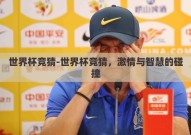 世界杯竞猜-世界杯竞猜，激情与智慧的碰撞