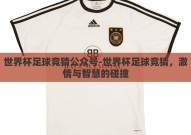 世界杯足球竞猜公众号-世界杯足球竞猜，激情与智慧的碰撞