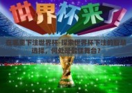 在哪里下注世界杯-探索世界杯下注的智慧选择，何处是最佳舞台？