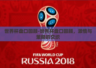世界杯盘口回顾-世界杯盘口回顾，激情与策略的交织
