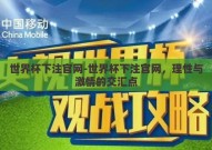 世界杯下注官网-世界杯下注官网，理性与激情的交汇点