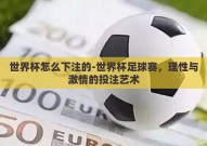 世界杯怎么下注的-世界杯足球赛，理性与激情的投注艺术