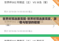世界杯预选赛竞猜-世界杯预选赛竞猜，激情与智慧的碰撞