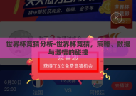 世界杯竞猜分析-世界杯竞猜，策略、数据与激情的碰撞