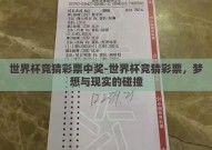 世界杯竞猜彩票中奖-世界杯竞猜彩票，梦想与现实的碰撞