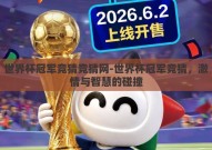 世界杯冠军竞猜竞猜网-世界杯冠军竞猜，激情与智慧的碰撞