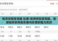 世界杯冠军竞猜 彩票-世界杯冠军竞猜，足球狂欢的另类乐趣与彩票的魅力交织