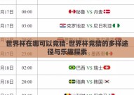 世界杯在哪可以竞猜-世界杯竞猜的多样途径与乐趣探索