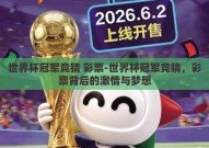 世界杯冠军竞猜 彩票-世界杯冠军竞猜，彩票背后的激情与梦想