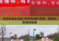 世界杯体彩竞猜-世界杯体彩竞猜，激情与智慧的碰撞