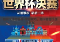 如何下注世界杯-掌握技巧，如何智慧下注世界杯