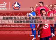 星空体育是什么公司-星空体育，引领体育娱乐新风尚的先锋企业