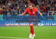韩日世界杯盘口-韩日世界杯盘口，足球盛宴的独特魅力与影响