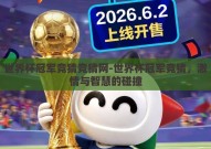世界杯冠军竞猜竞猜网-世界杯冠军竞猜，激情与智慧的碰撞