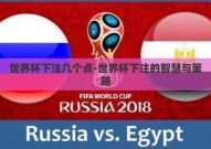 世界杯下注几个点-世界杯下注的智慧与策略