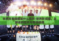 世界杯竞猜那是什么意思-世界杯竞猜，足球迷的狂欢与智慧碰撞